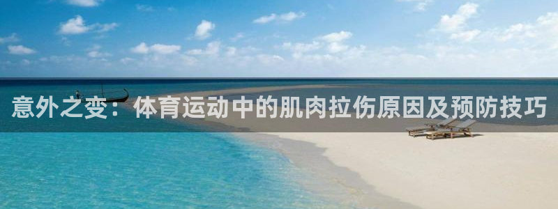 双赢平台体育4