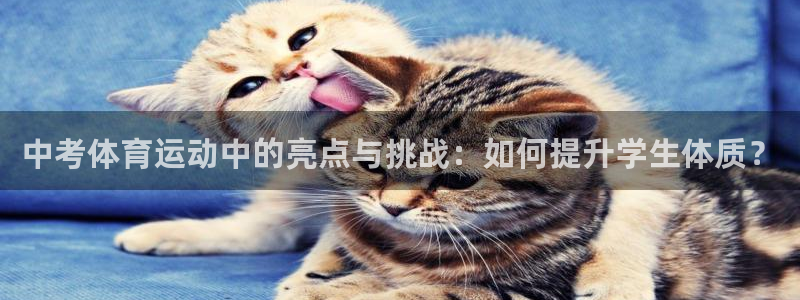 成都意昂电子有限公司