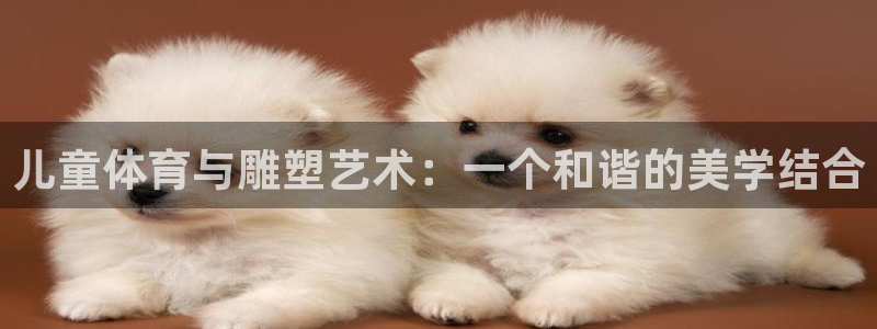 双赢平台体育免费注册入口