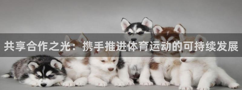 双赢平台2登录入口