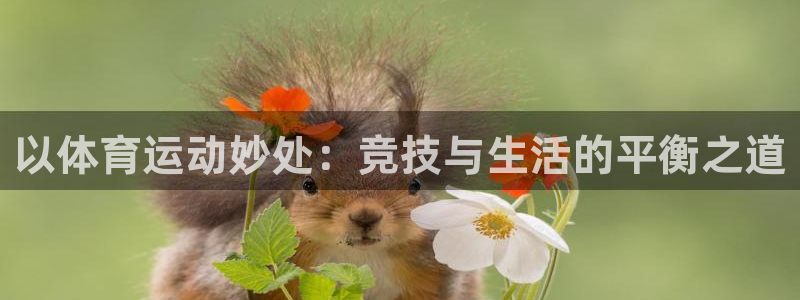 双赢平台2平台