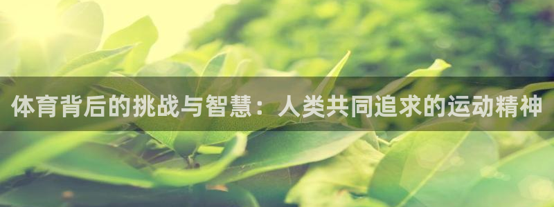 意昂3平台注册