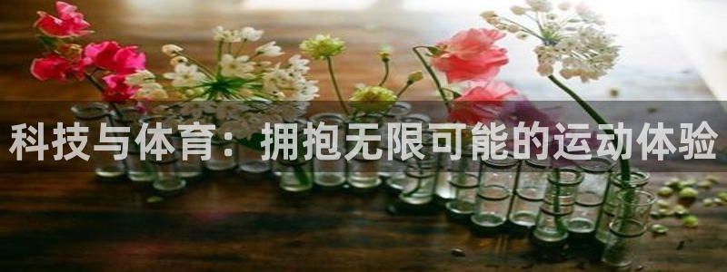 双赢平台体育app下载
