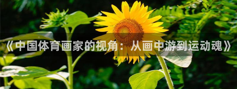 双赢平台零能源集团