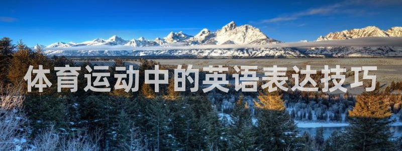 双赢平台3代理