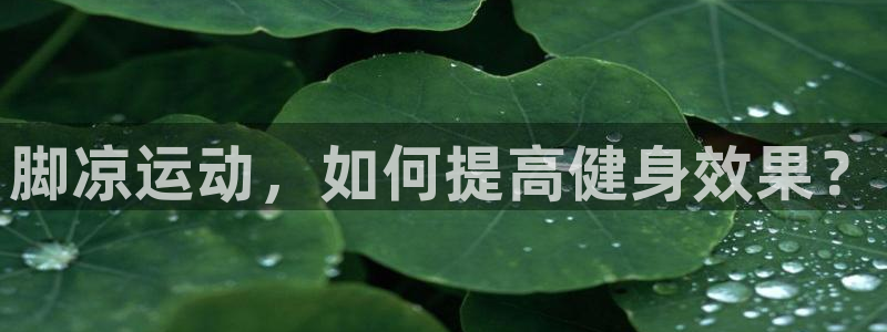 双赢平台2官网