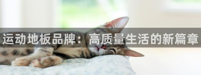 双赢平台2体育登录入口