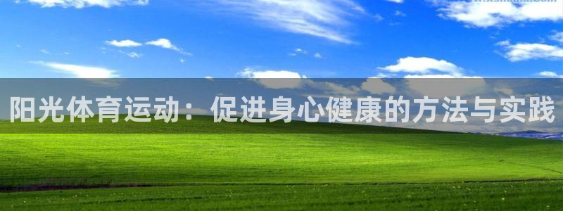 双赢平台登录入口