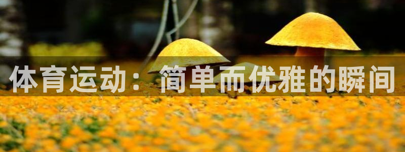 福建意昂机电股份公司