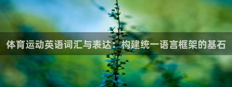 意昂5平台