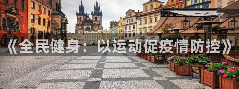 双赢平台集团