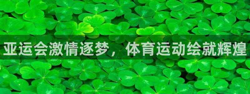 双赢平台体育平台总代理