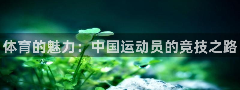 意昂4登录