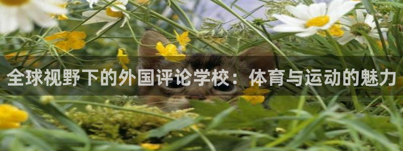 双赢平台能源