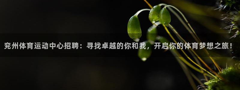 佛山市南海双赢平台机电仪器有限公司