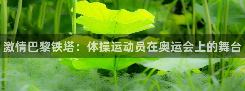意昂包怎么样