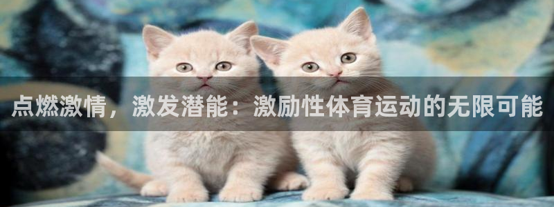 双赢平台体育4