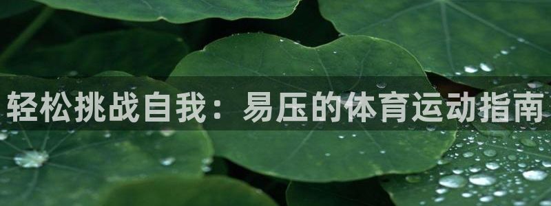 双赢平台凯捷注册
