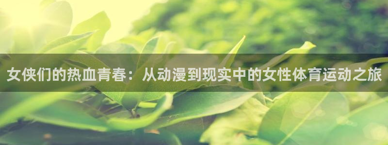 双赢平台代理注册官网入口
