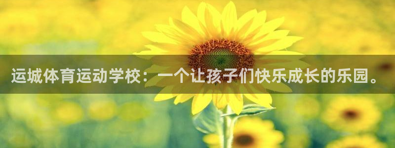 双赢平台官网
