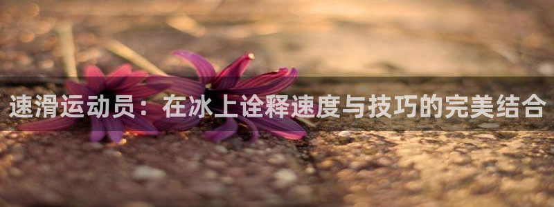 双赢平台体育论坛