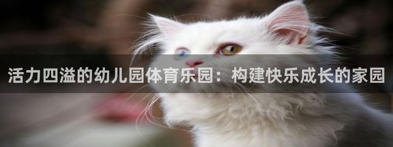 双赢平台体育平台总代理