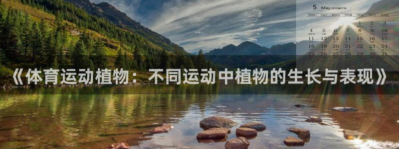 意昂3平台登录注册