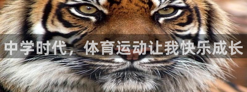 双赢平台2平台