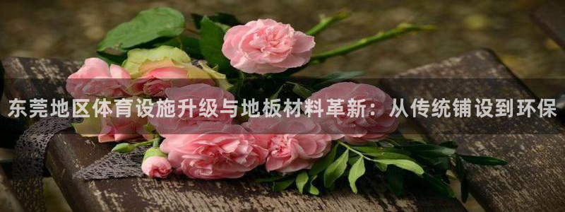双赢平台3平台注册